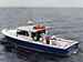 Patience Charters
